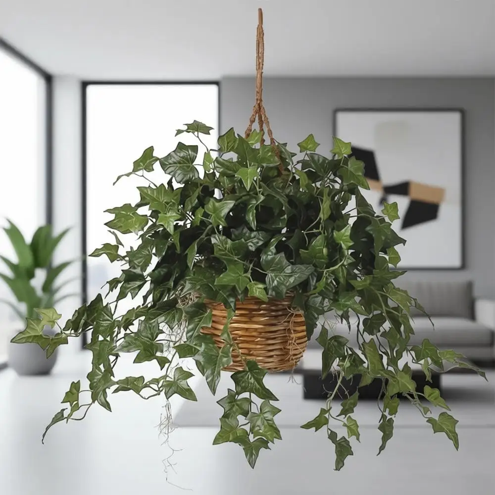 

Hanging Green Ivy Basket, 36x36x26 Inches
