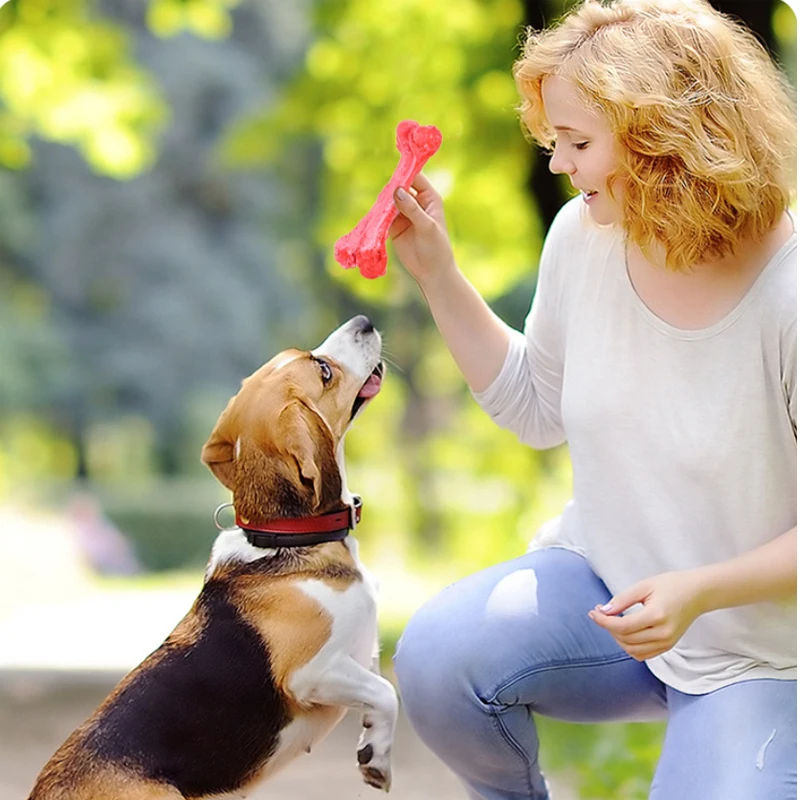 Pet Toys Dog Bones Chews Toys Bite Resistant Teeth Cleaning Natural Rubber Non-Toxic Dog Tooth Grinding Stick Free Shipping