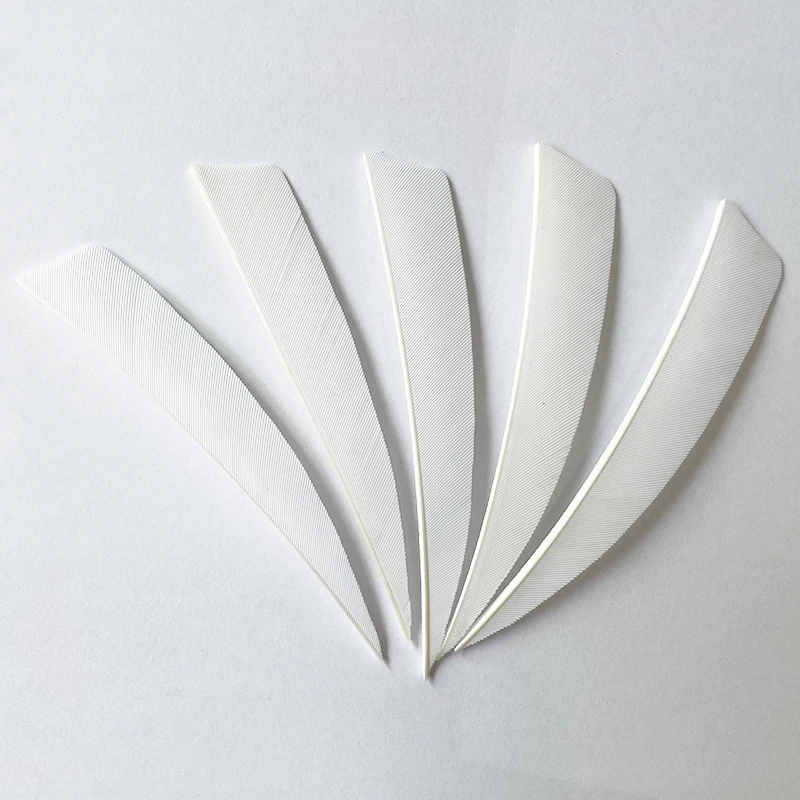 50 Pcs 4 Zoll Carbon Pfeil Federn Befiederung RW Schild Cut Türkei Federn Fletches Bogenschießen Bogen Jagd Zubehör