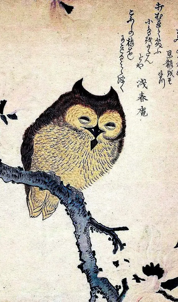 Búho chino japonés asiático Vintage (Póster de imagen, arte Animal), imagen artística impresa, póster de seda, decoración de pared del hogar