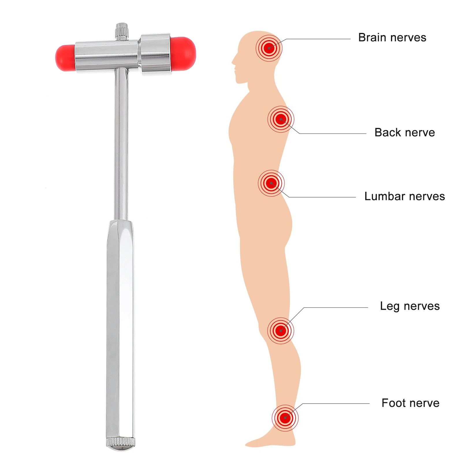مطرقة تحضير برأسين، اختبار وتر متعدد الوظائف، متعدد الوظائف، عصبي #4