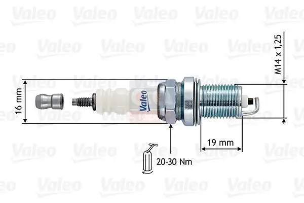 Store code: 246884 for spark plug BINEK (imported)