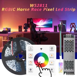 WS2811 RGB IC Acqua corrente che scorre Luce di striscia SMD5050 24V Lampada a nastro colorato RF Touch Telecomando Decorazione di illuminazione da corsa di cavalli