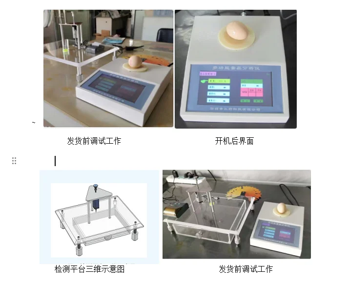 device for testing egg fertility analyzer