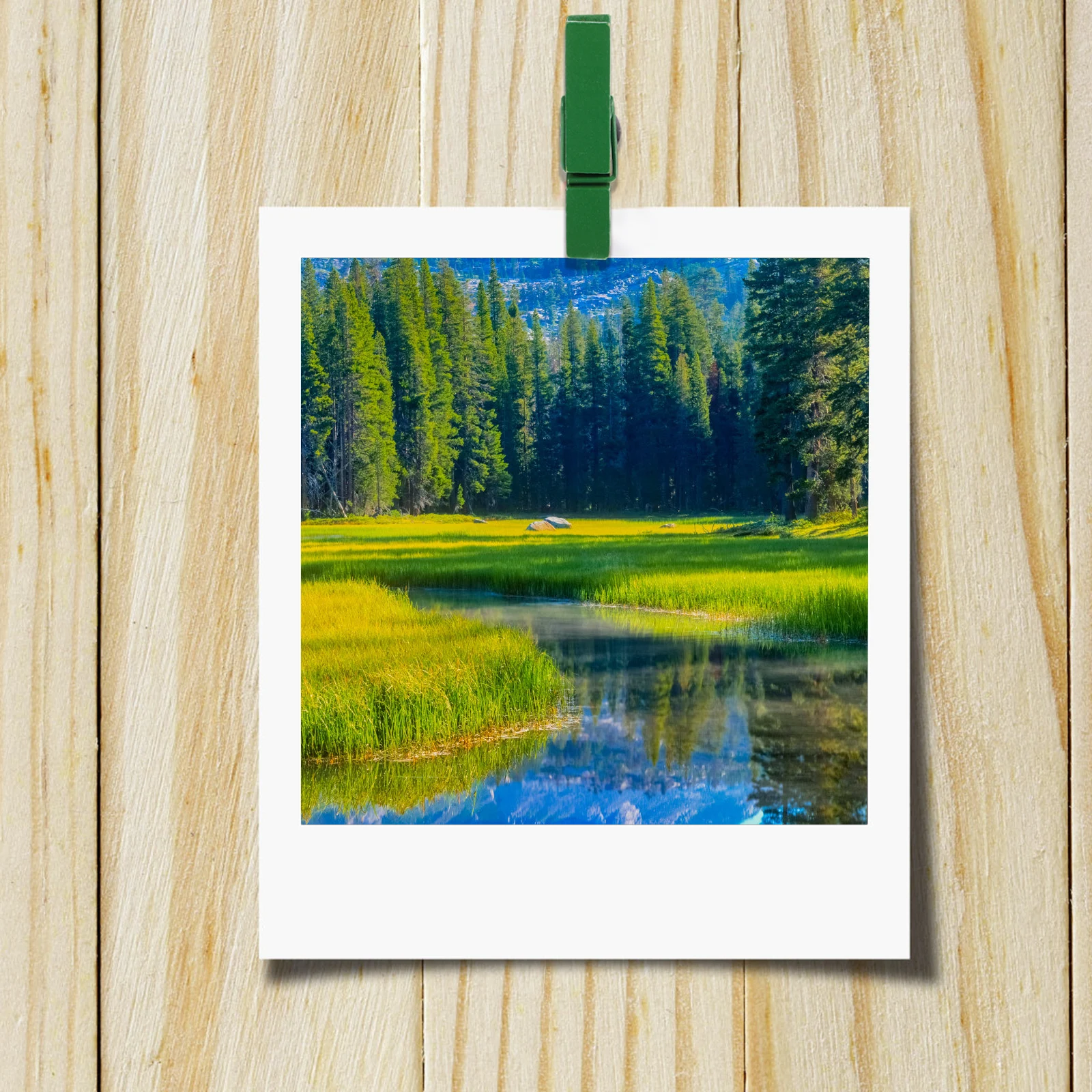 50 Pcs Wooden Push Pins Clips Colorful Hanging Message Clip Thumbtack Holder Office Classroom Decor Multifunctional Design