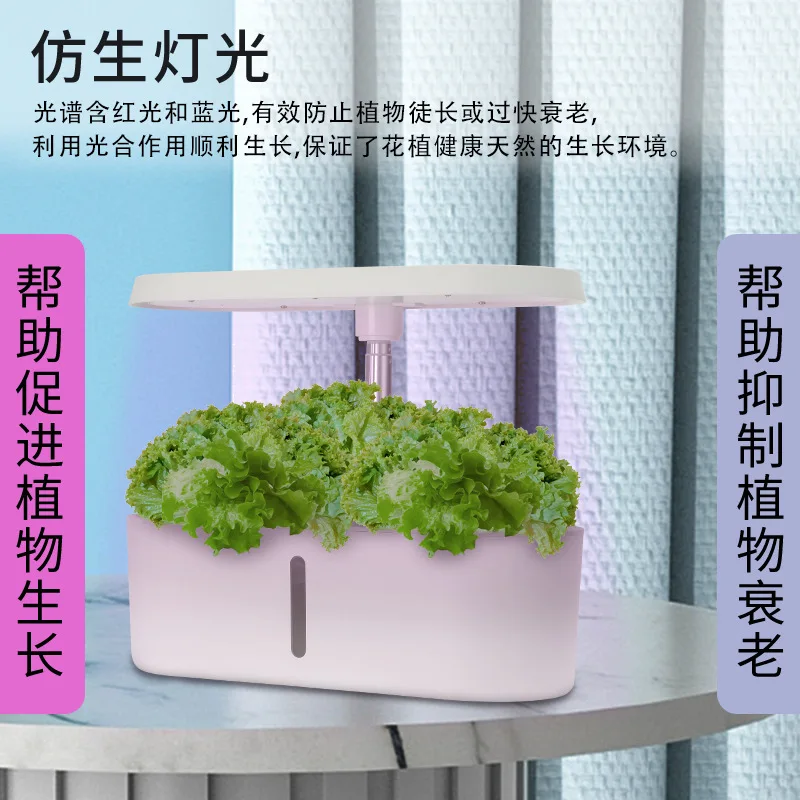 

Home Smart Hydroponic Soilless Planter: Water Culture Flower/Vegetable Auto Growing Pot