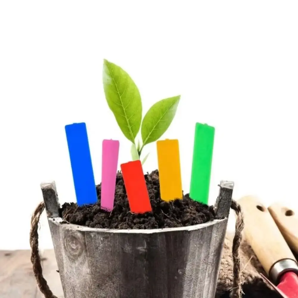 100Pcs Plastic Material Plant Tags Reusable 5*1cm Size Plant Markers Waterproof Sun Protection Garden Plant Labels