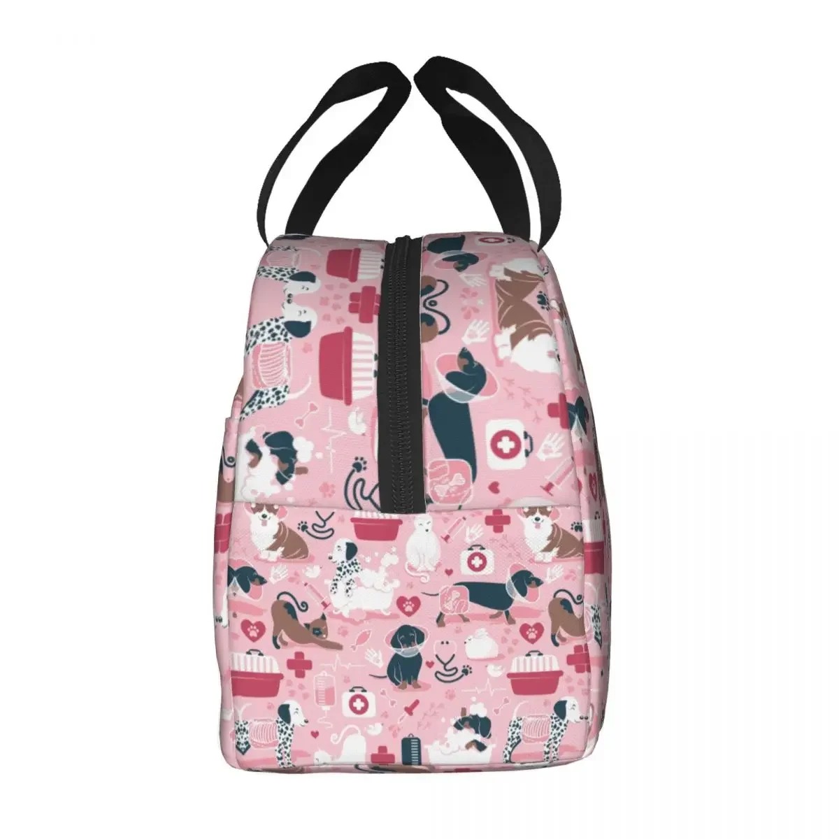 Medicina veterinaria bassotto cani gatti borsa da pranzo isolata per Picnic all\'aperto Resuable Thermal Cooler Lunch Box donna bambini