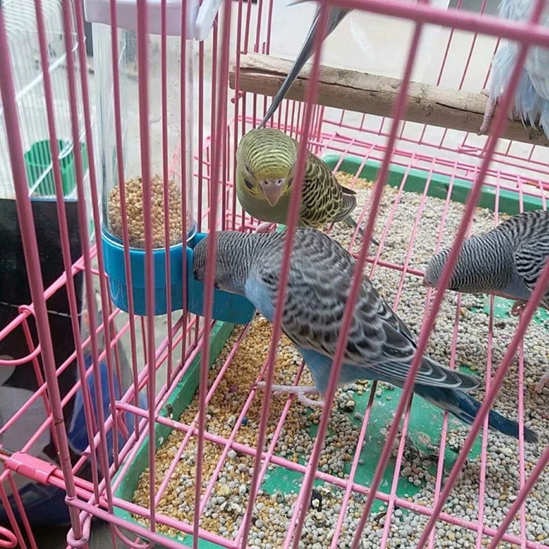 Thú Cưng Chim Nhựa Tự Động Ăn Vẹt Cockatiel Ăn Nước Uống Cốc Bát Đựng
