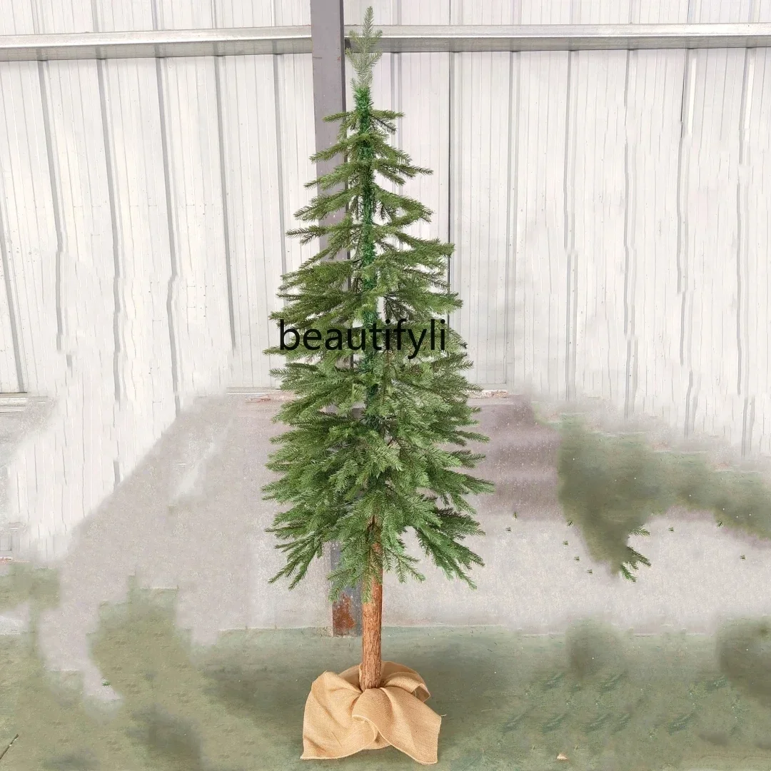 Pe Matita Albero Di… - image