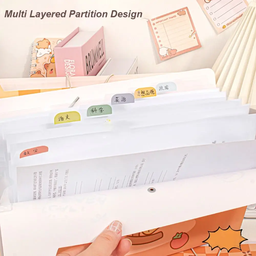 New Capybara A4 File Folder Creative Cartoon File Organizer 8/12 Pockets Large Capacity Portfolio