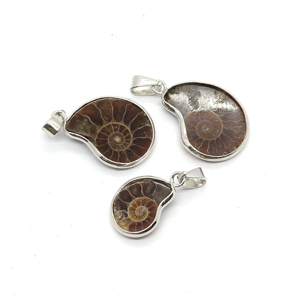 Natural Stone Shell Ammonite Snail Pendant 10-35mm Charm Vintage Making DIY Necklace Earrings Fashion Jewelry Boutique Accessory