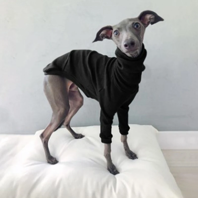 Abrigo de cuello alto de algodón para perros tipo galgo whippet_voghion.com