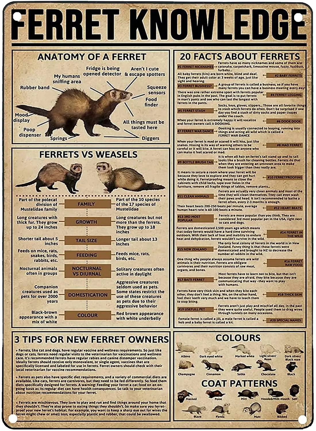 LindaFeeney Ferret Knowledge Art Wall Decor Retro Metal Tin Signs Anatomy Of A Ferret Printed Poster Pet Shop Bar School Cafe Li