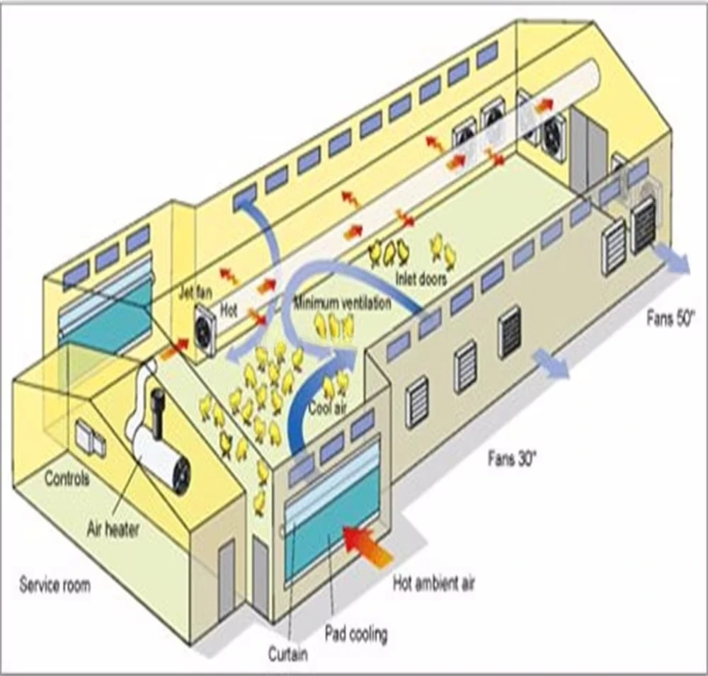 Kipapparatuur Dierenvoer Gevogelte en visvoer Pelletmachine