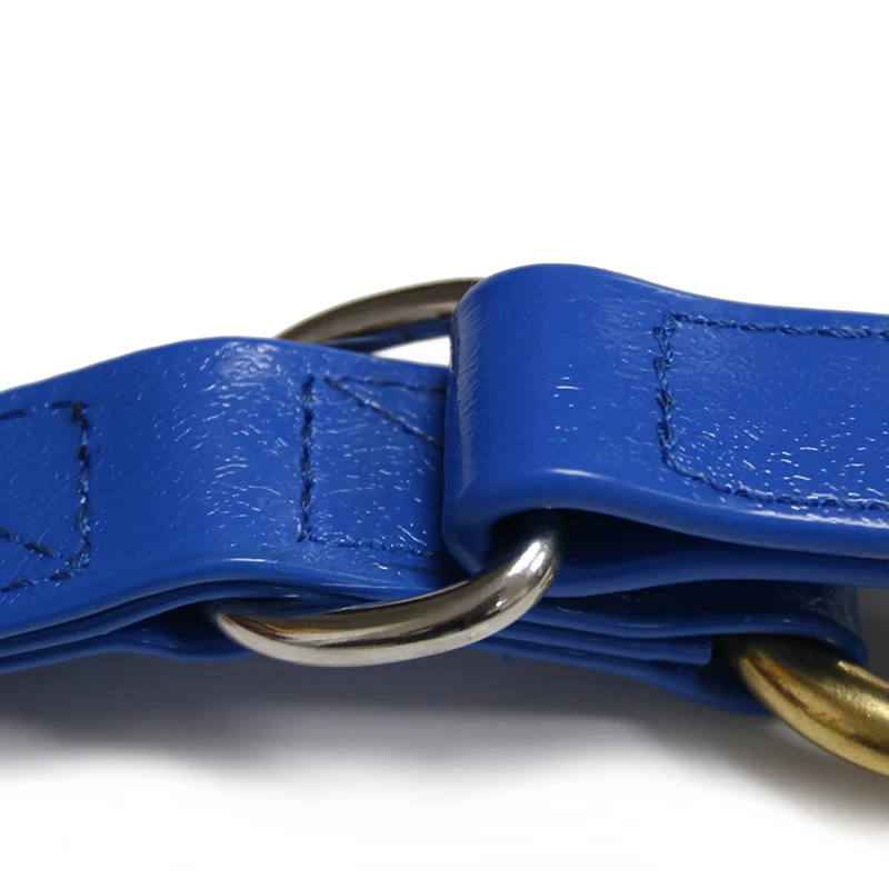 3.6 مللي متر بولي كلوريد الفينيل مقاوم للماء حزام الحصان المقود تخصيص حجم اللون وشعار الأزرق نموذج دعم الرصاص حبل لتدريب الحصان #4