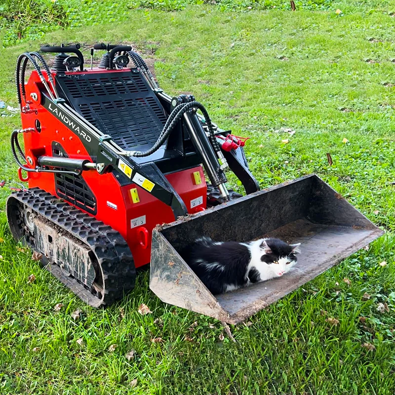 Cargador de excavación pequeño para uso doméstico, equipo de trituración, Mini tierra de cultivo, Suelo Suelto, deslizamiento multiusos, accesorios