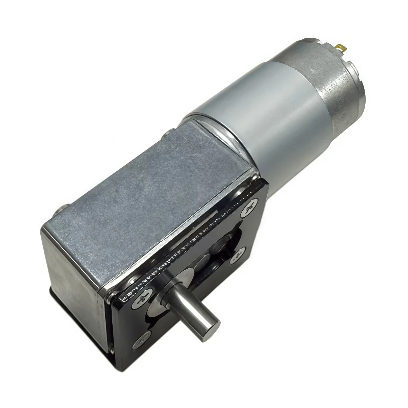 5840-555 DC Worm Gear Worm Reducer Motor with Forward and Reverse Rotation, Equipped with Adjustable Power Supply and Bracket