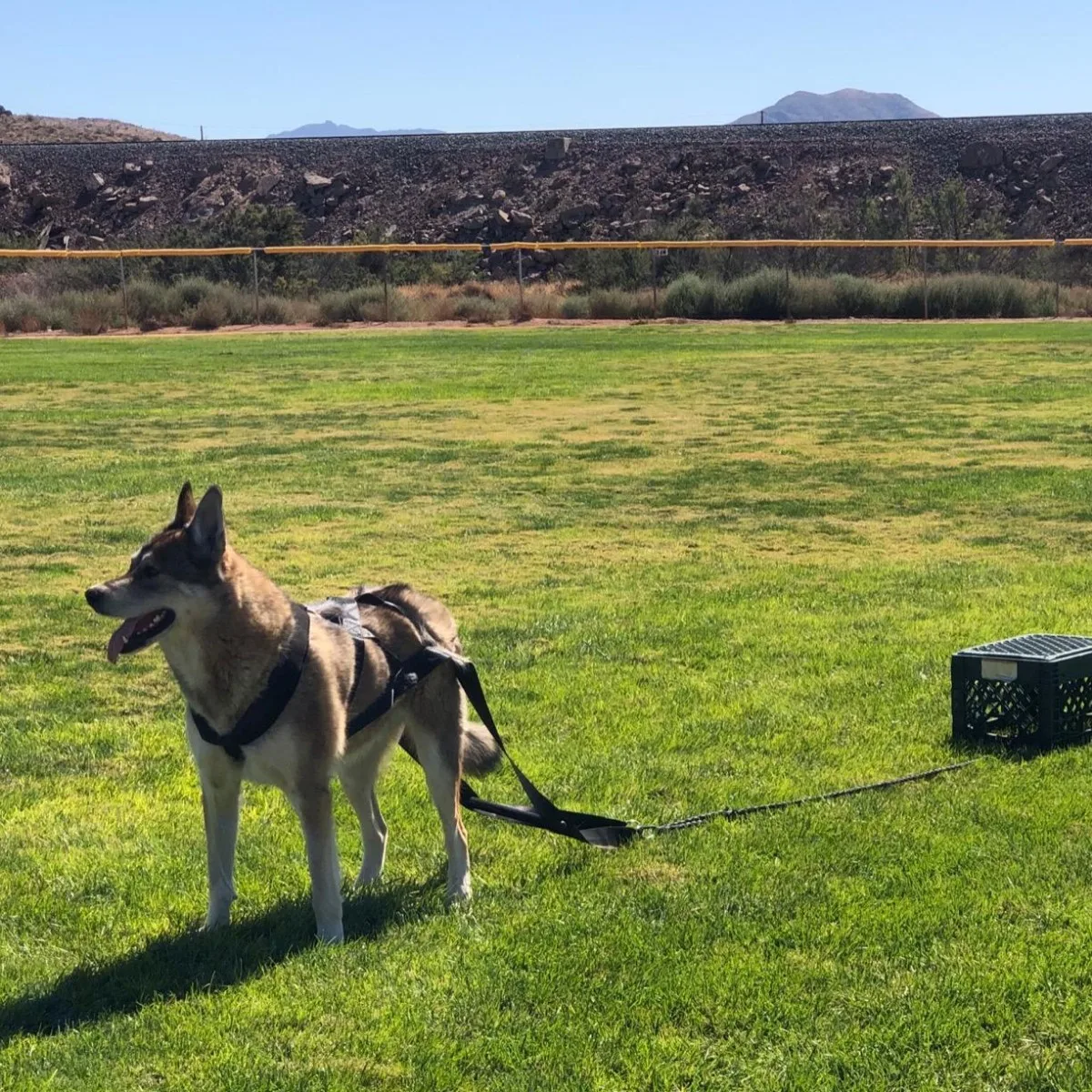 Thumbnail 3 - #15 Cheapest Sleds Deals You Can Get