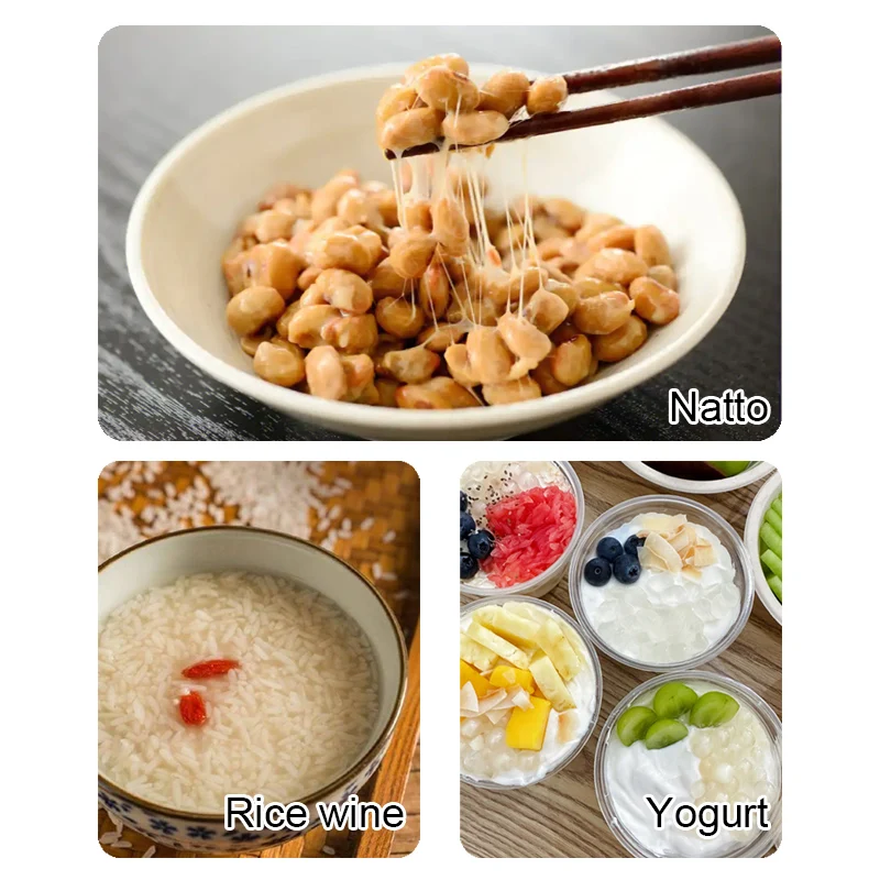 Professional Natto Making machine Multifunctional Rice Wine Yogurt Fermenter Fully Automatic fermentation equipment 110V 220V