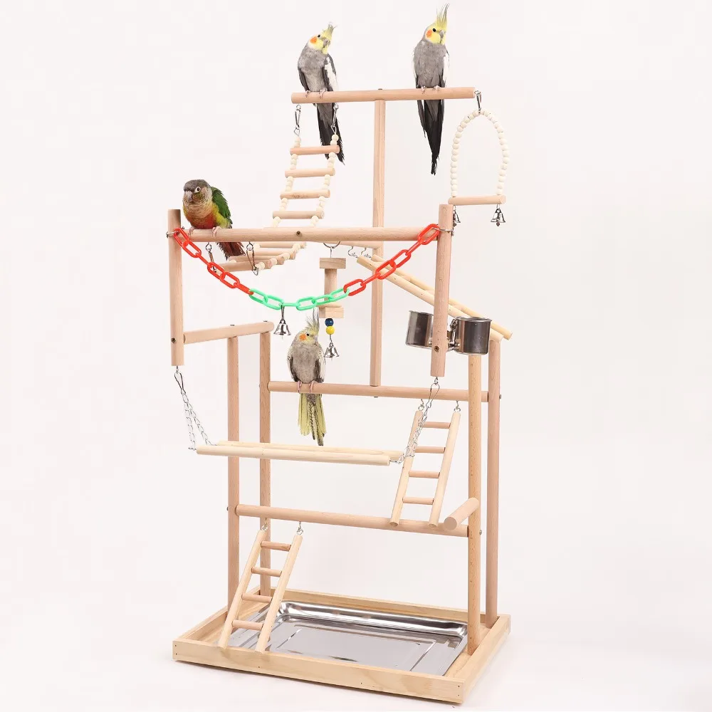 Thumbnail 2 - #37 Latest Bird Ladders & Perches Offers