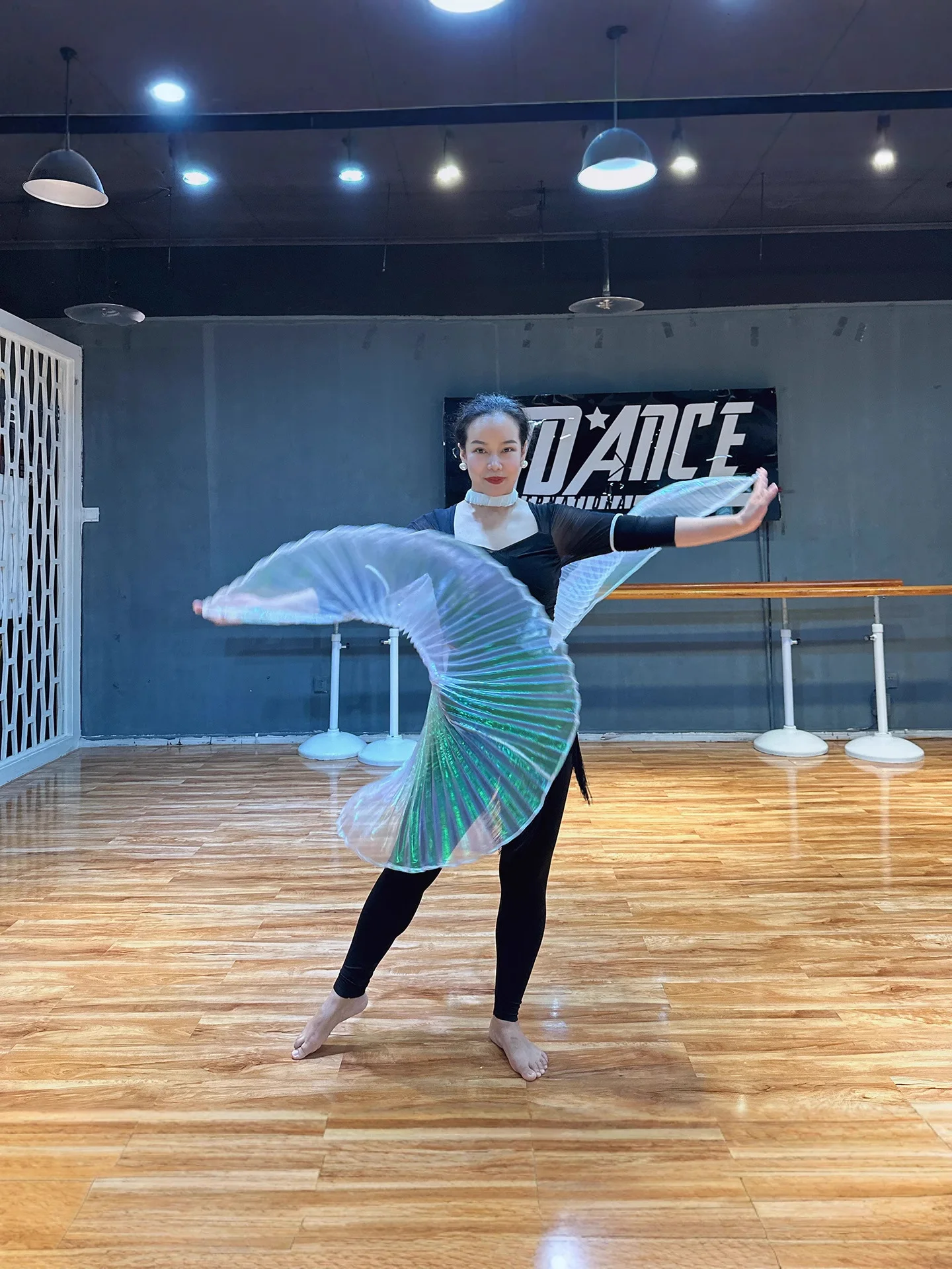 Belly Dance เสื้อผ้าตกแต่งด้านหลังปีก Hand Hook สไตล์ปีกโปร่งใส Wing Dance Performance ProPerformance อุปกรณ์เสริม