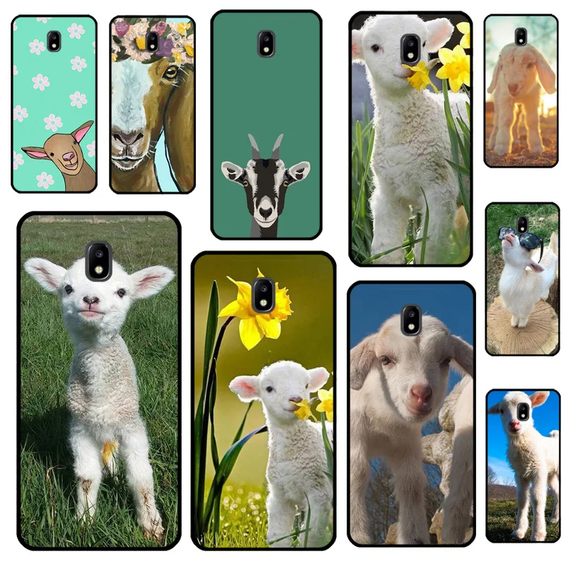 Cute Goat Animal Fo…