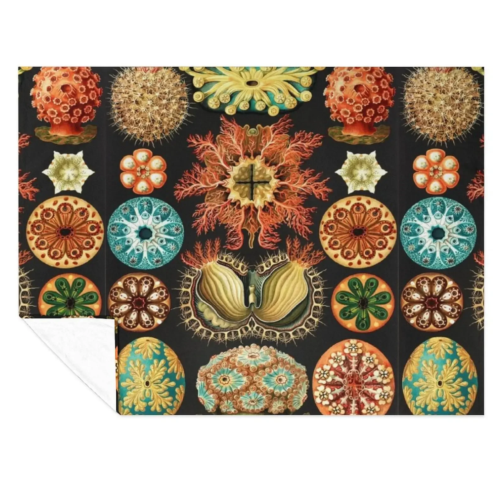

Artforms in Nature by Ernst Haeckel Throw Blanket Soft Big Vintage Sofa Decorative Sofas Blankets