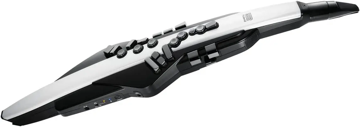 Digital Wind Instrument, Matte Black and White (AE-20)