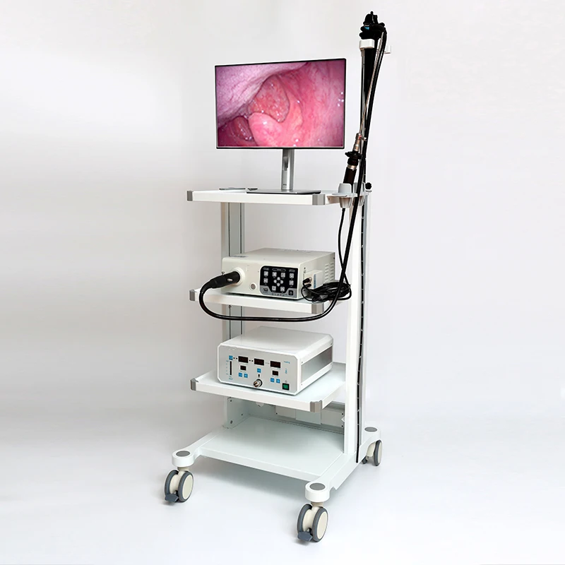 Veterinary Video Gastroscopy Medical Equipment Endoscope Machine System Endoscope System Remote Endoscope