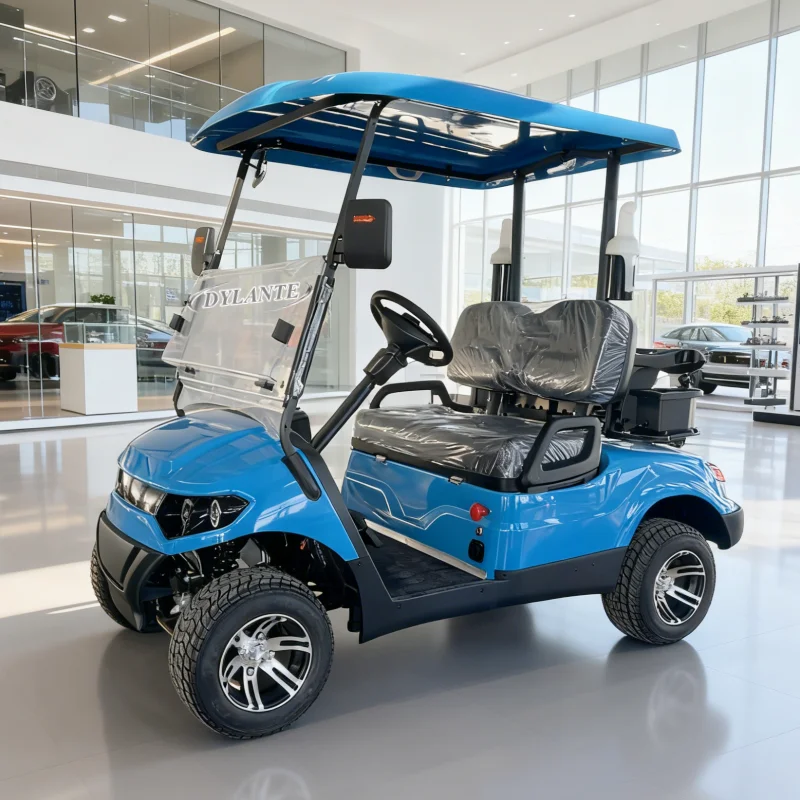 العلامة التجارية الجديدة 2 مقاعد 4 الصين مصنع مخصص نادي السيارة بطارية تعمل بالطاقة عربة جولف 48 فولت 72 فولت مع مزدوج سوينغ الذراع فرامل قرصية