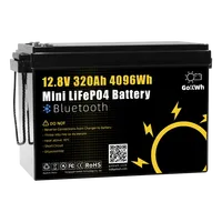 8000 Cycle Mini 320Ah 280Ah 200Ah 100Ah 12V 24V LiFePO4 Battery LFP for DIY Camping Car RV Boat Ship Solar Energy Storage System