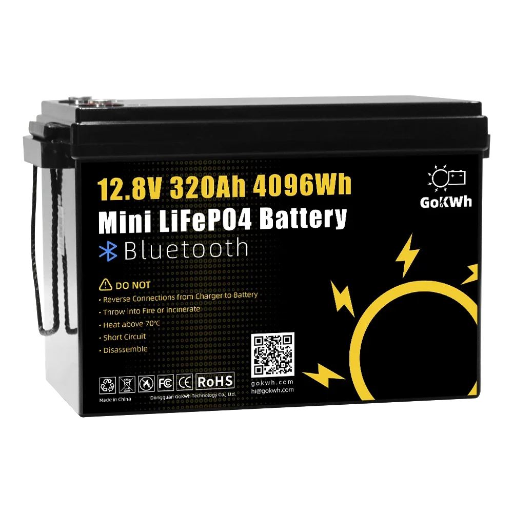 8000 Cycle Mini 320Ah 280Ah 200Ah 100Ah 12V 24V LiFePO4 Battery LFP for DIY Camping Car RV Boat Ship Solar Energy Storage System