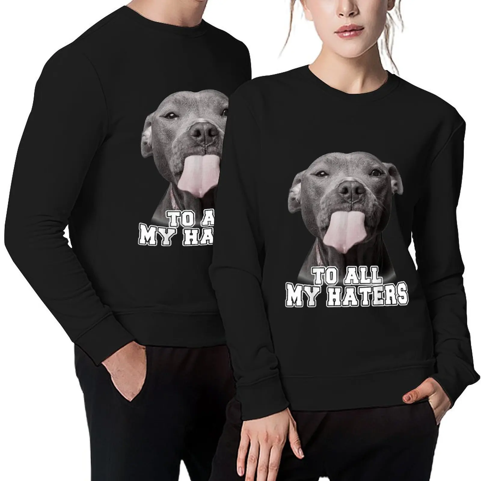 

Funny Pitbull To All My Haters Pullover anime clothing autumn jacket men mens designer clothes mens clothes hooded sweatshirts