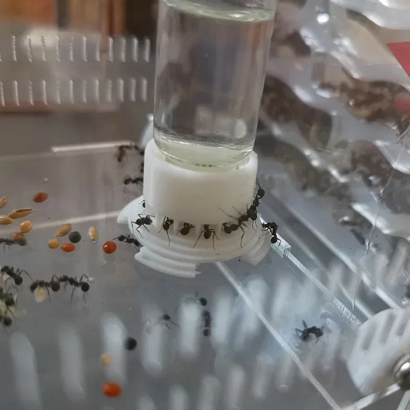 5-40ml Ant Farm Water Tower Anthill Water Bowl for Ant House Workshop Water Feeder Ant Nest Drinking Bottle Drinker