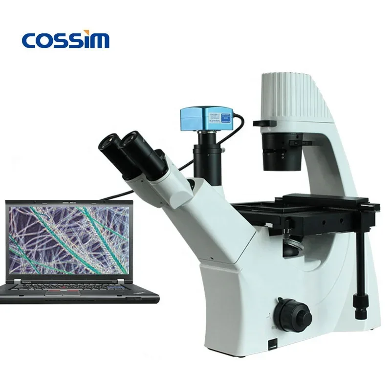 Laboratório biológico de microscópio de biologia biológica digital BLD-300 para venda