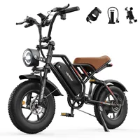 VARUN Plorer Adult E-bike250W Motor 48V 13AH Battery Electric Bike 16 Inch Fat Tire E-Mountain bike Off-road Electric bicycle
