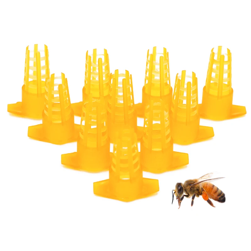 

Beekeeping Tools Plastic Bee Queen Cage Protective Cover Cell Protector Cages Rearing Apiculture Equipment 100/300/500 Pcs