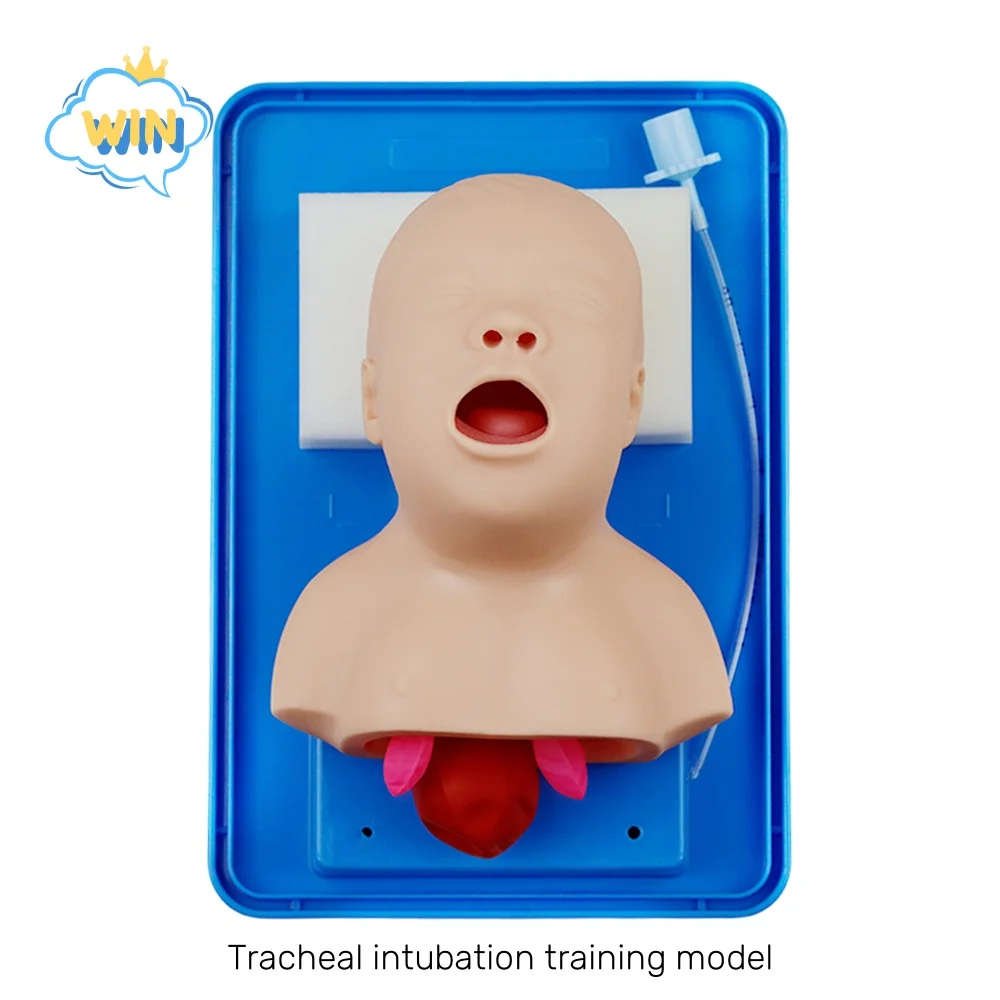 

Учебная модель трахеальной интубации новорожденных, первая помощь для младенцев и детей, тренировка медицинской трахеи для взрослых, модель человека
