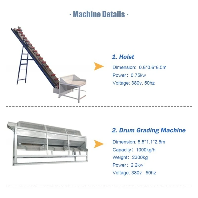 Customize Nuts Plant Equipment Production Line Peanut Pistachio Pine Walnut Almond Hazelnut Macadamia Nut Processing Machine