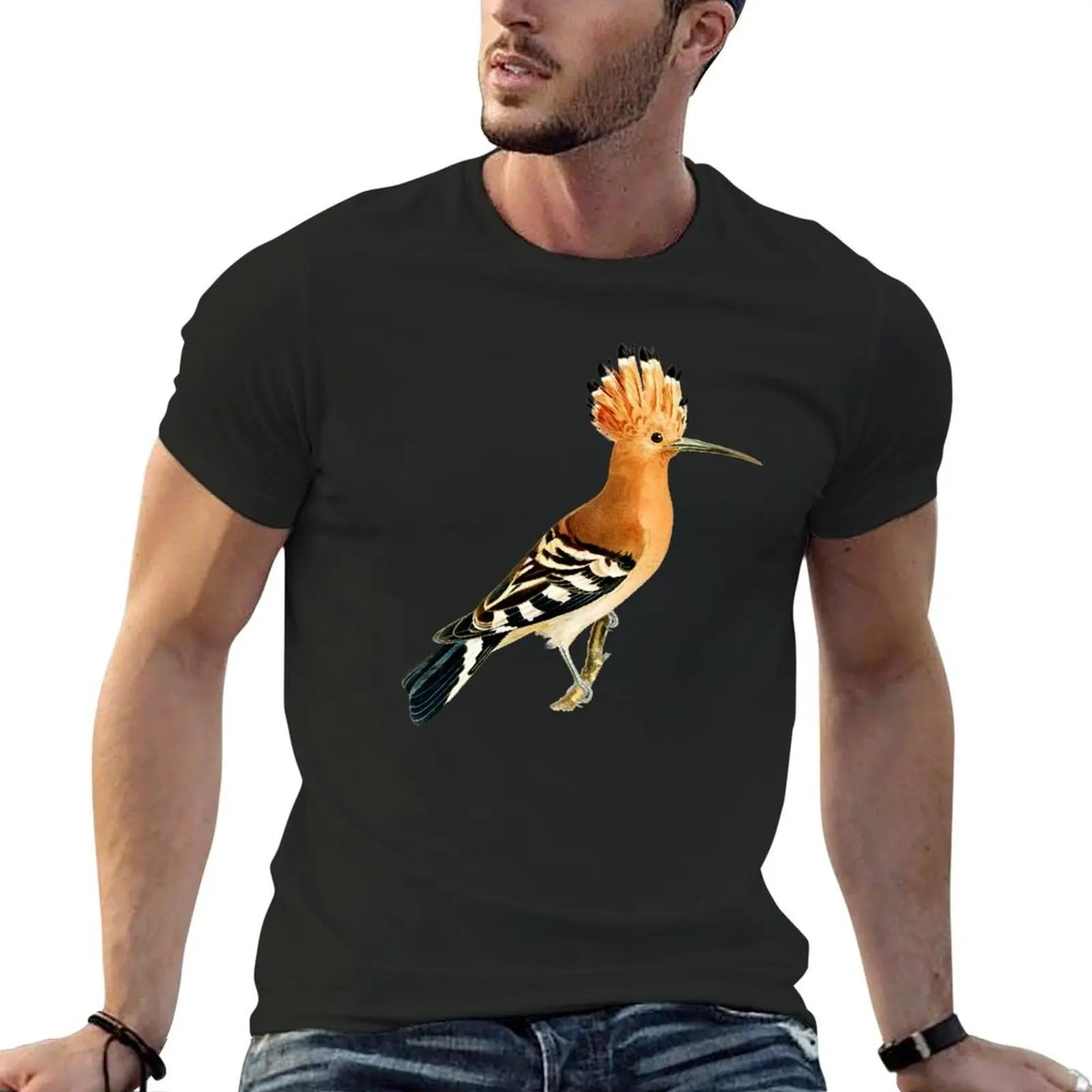 Eurasian Hoopoe Bird T-Shirt plus size tops customizeds mens graphic t-shirts anime