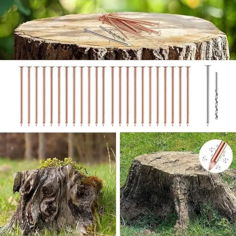 25Pcs Nails Tree Stump Killers Bulk Stump Removal Spikes Hardware Nails for Killing Trees Removing Stumps