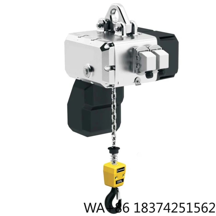 

Overload Protection 1T 2T 3T 5T Electric Chain Hoist with Safety Brake System