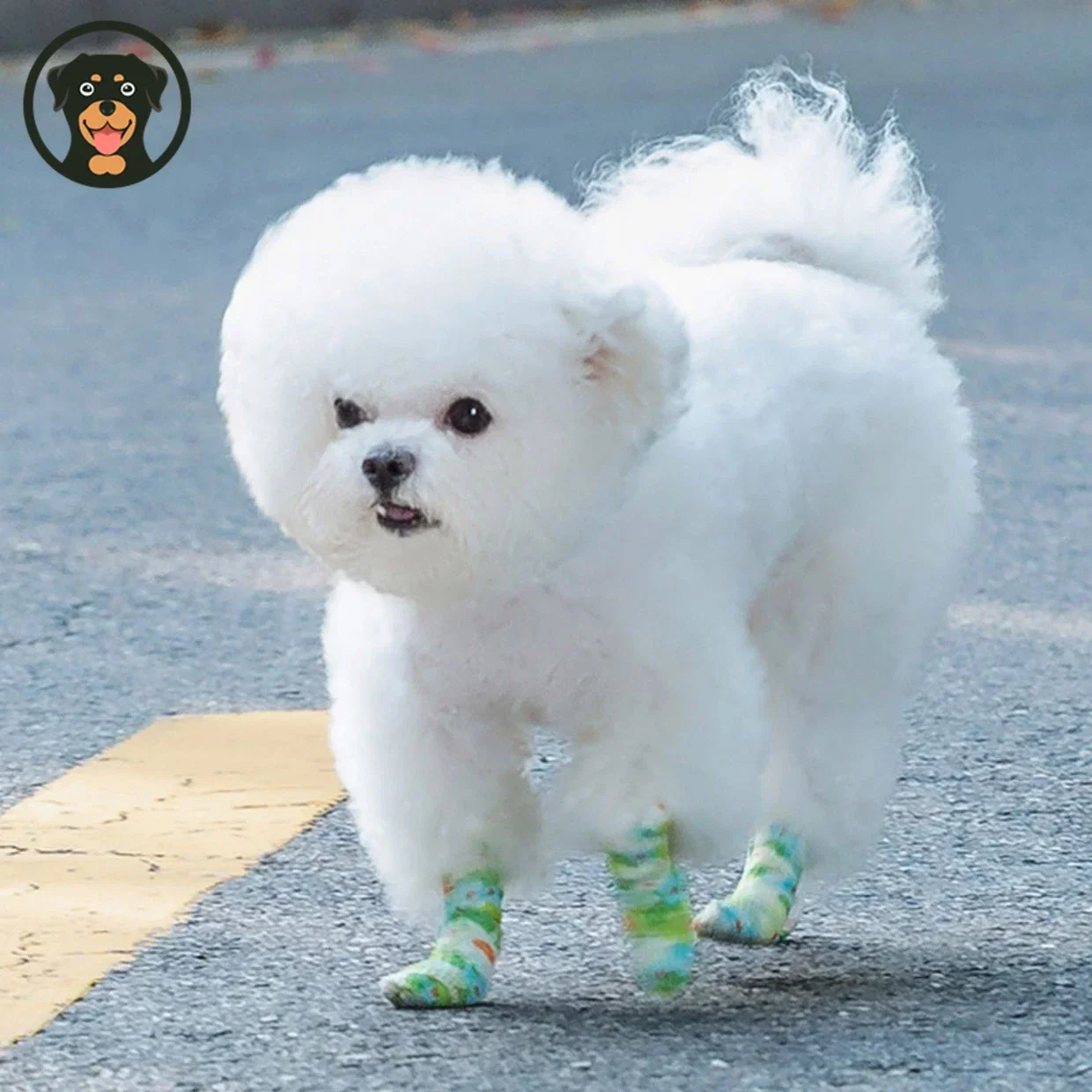 Zapatos para mascotas, vendajes elásticos transpirables para perros y gatos, cubiertas desechables para pies, cinta deportiva retráctil a prueba de