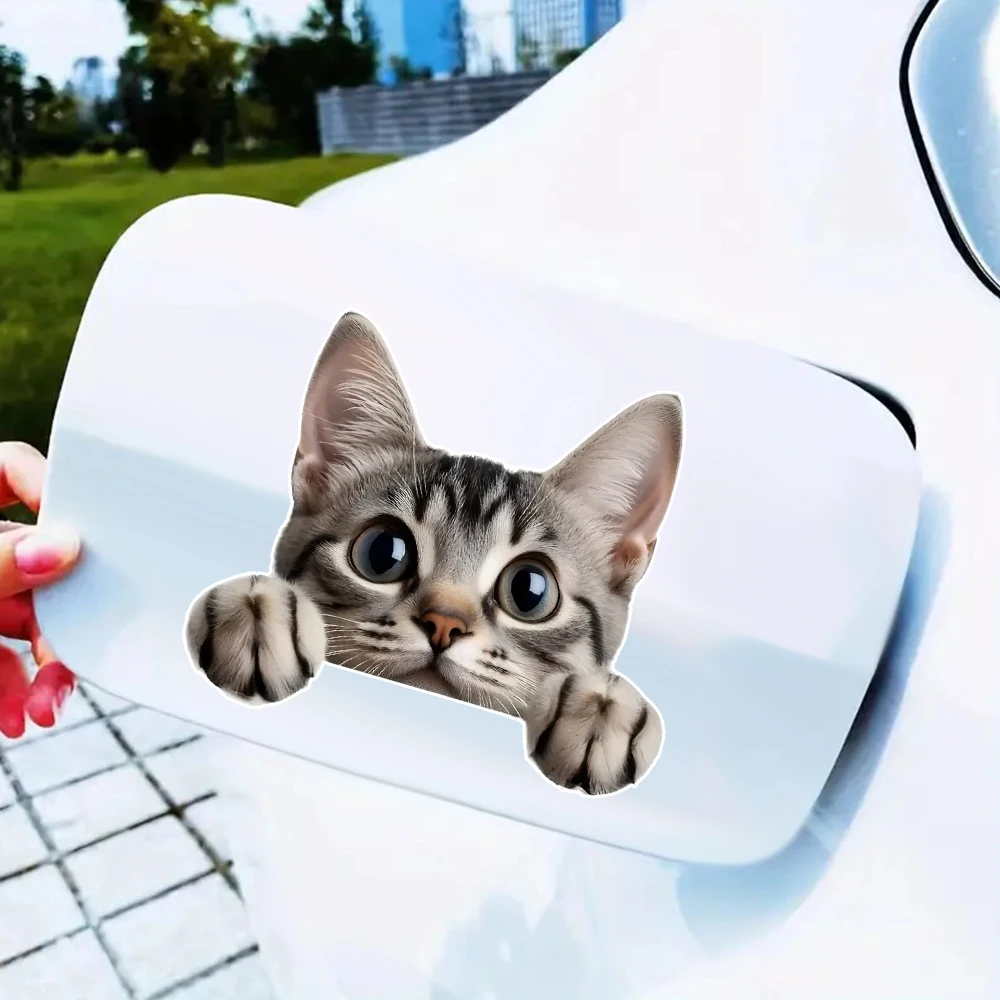 13x11cm 2D Flat, Adorable Tabby Cat Paw & Playful Cartoon Stickers - Self-Adhesive DIY Decals for Cars, Laptops, Window, Wall