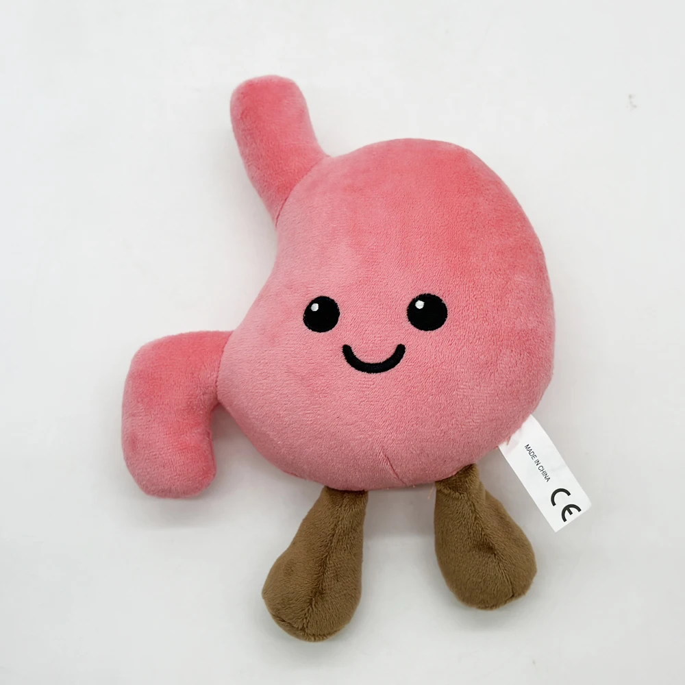 Cute organ plush toy simulation stomach,fun plush toy plush gift,room decoration, boys and girls' birthdays gifts