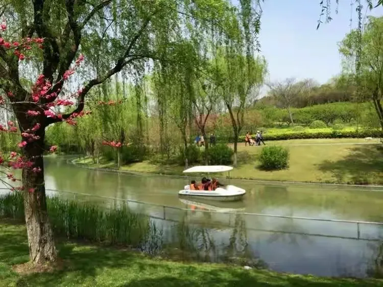 

For LOSI 1/24 Micro-B RC Car Accessories Upgrade Transmission Housing Gear Assembly Kit RC Car Parts