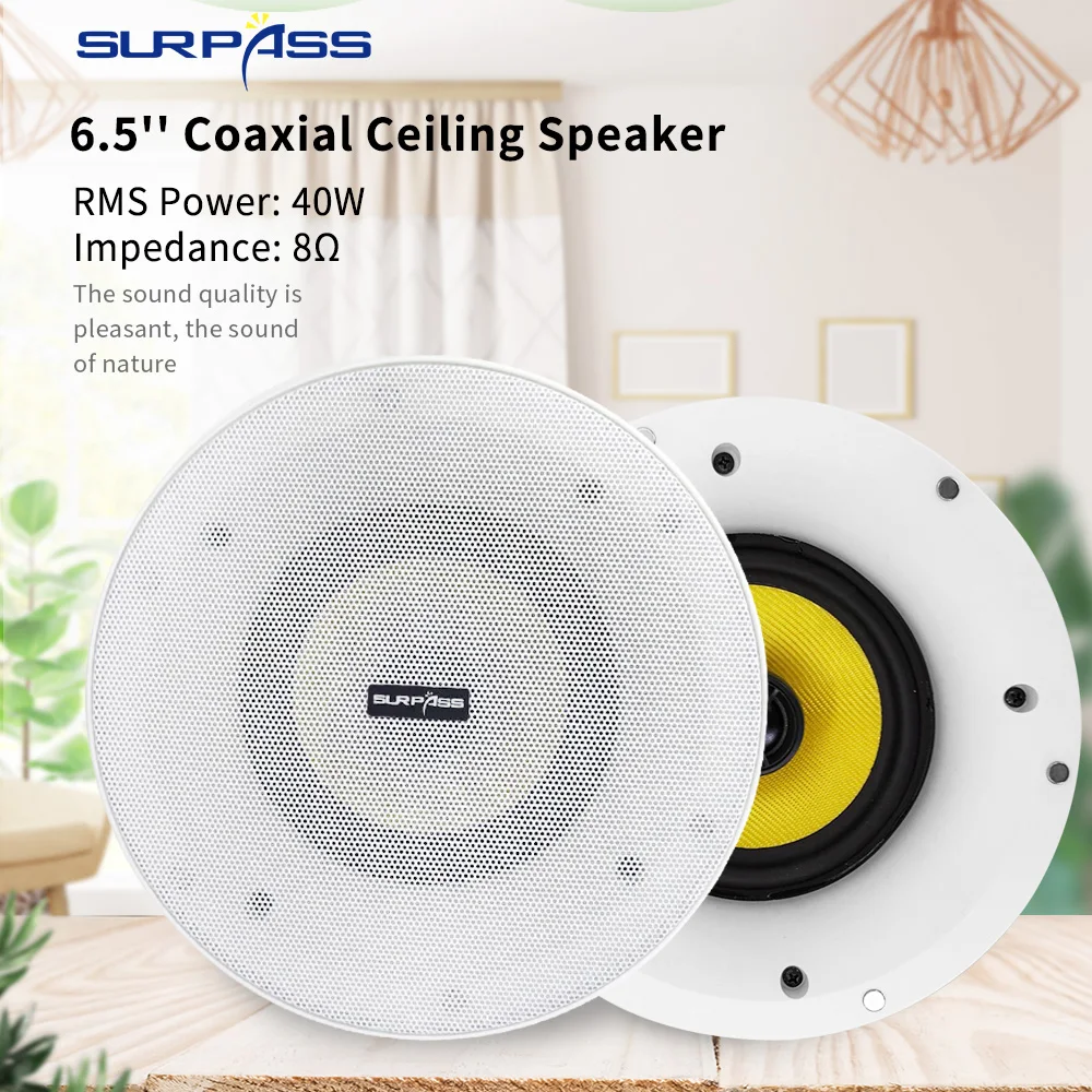 

WiFi Ceiling Speaker 40W 6.5inch Bluetooth Coaxial Frameless Flush Mount Speaker Stereo Active Loudspeaker Audio System Indoor