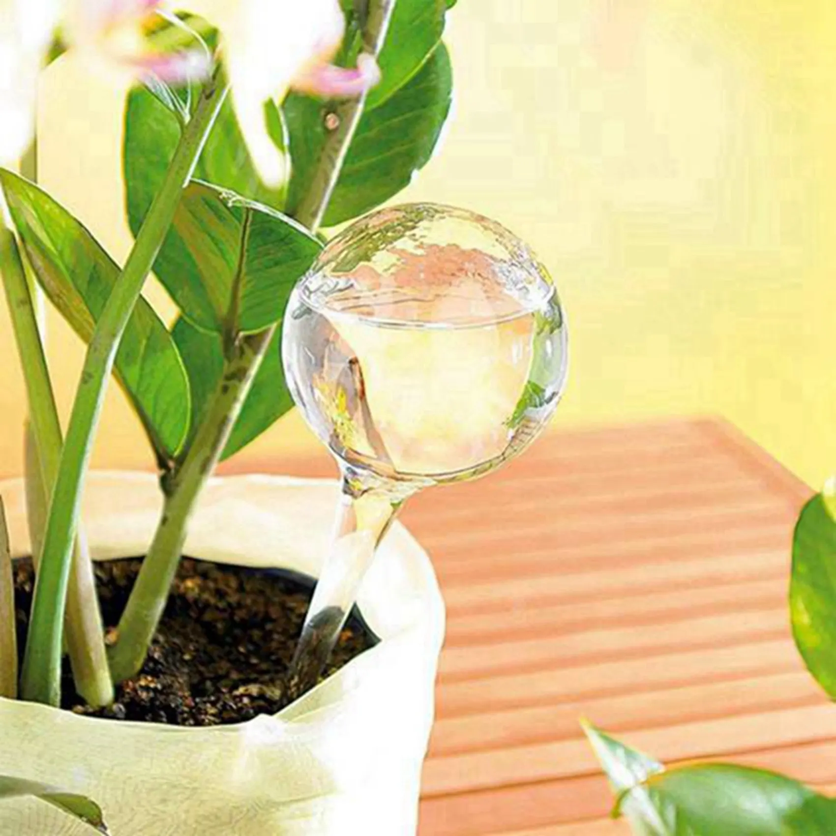 

AB33-10 Pcs Automatic Watering Device Globes Vacation Houseplant Plant Pot Bulbs Garden Waterer Flower Water Drip Watering