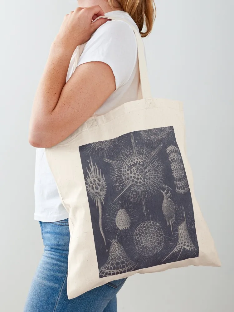 

Vintage Radiolaria Fossils Tote Bag Woman shopper bag canvas tote bags Shopper Shopper bag